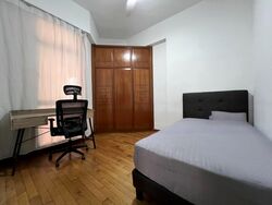 Dover Parkview (D5), Condominium #476733661